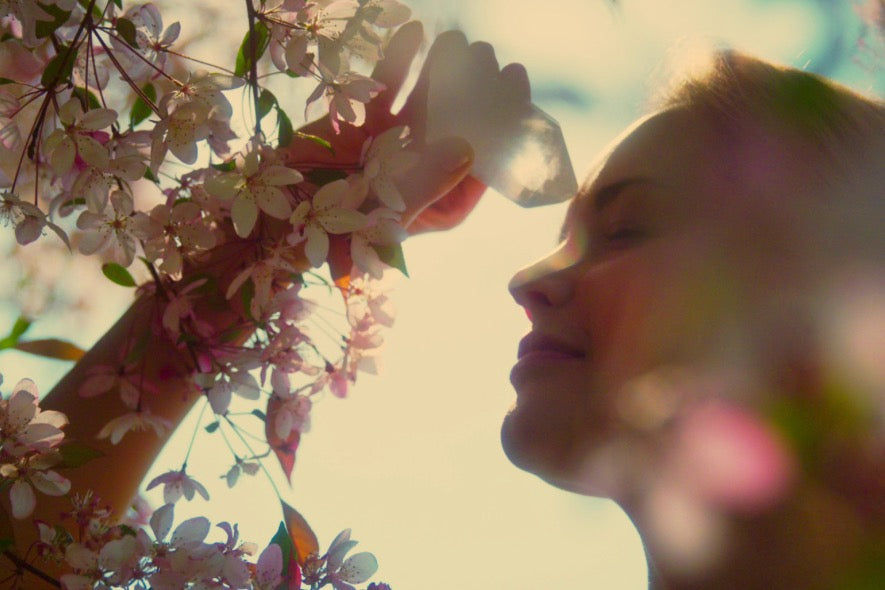 Our Crystal Collection