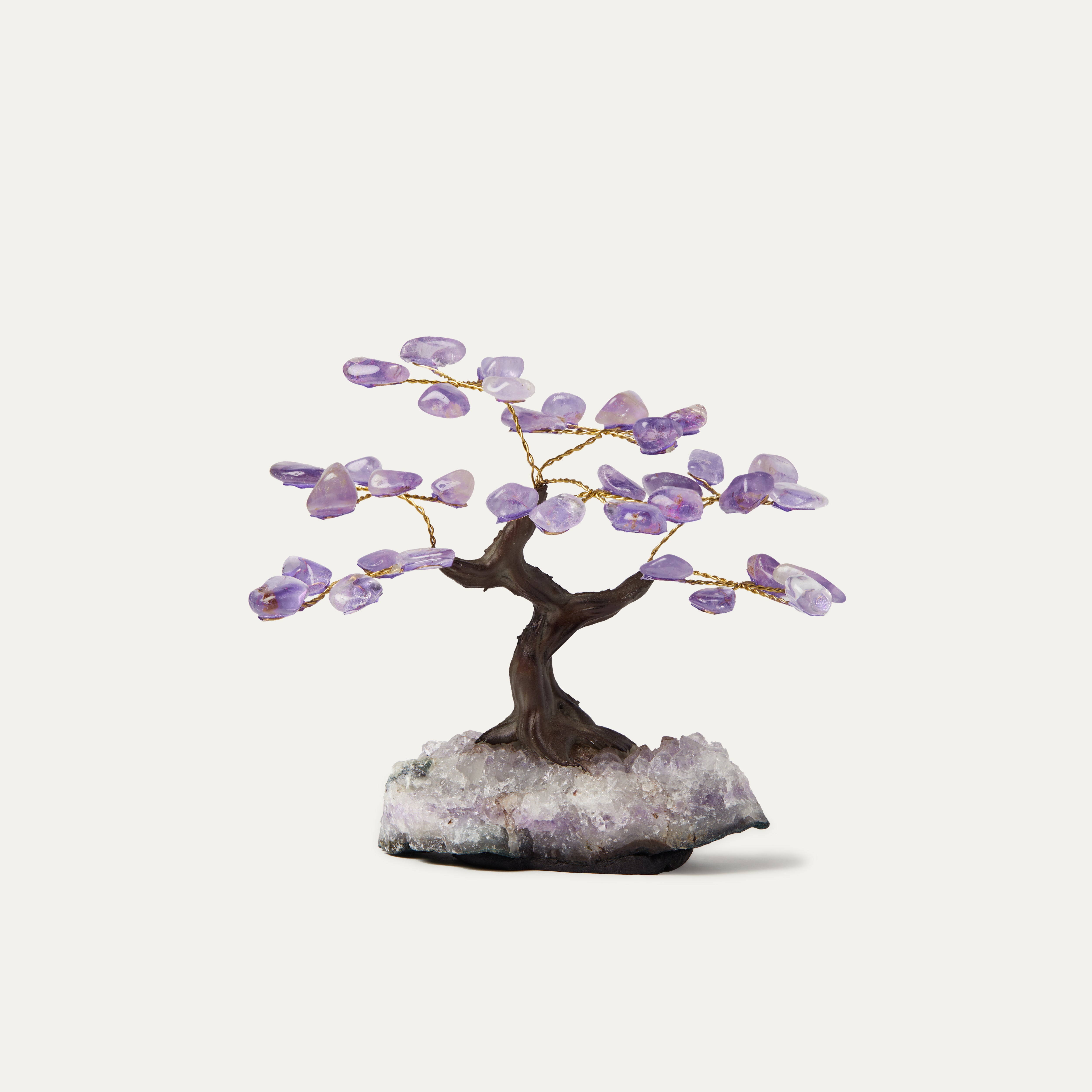 Amethyst Bonsai Tree