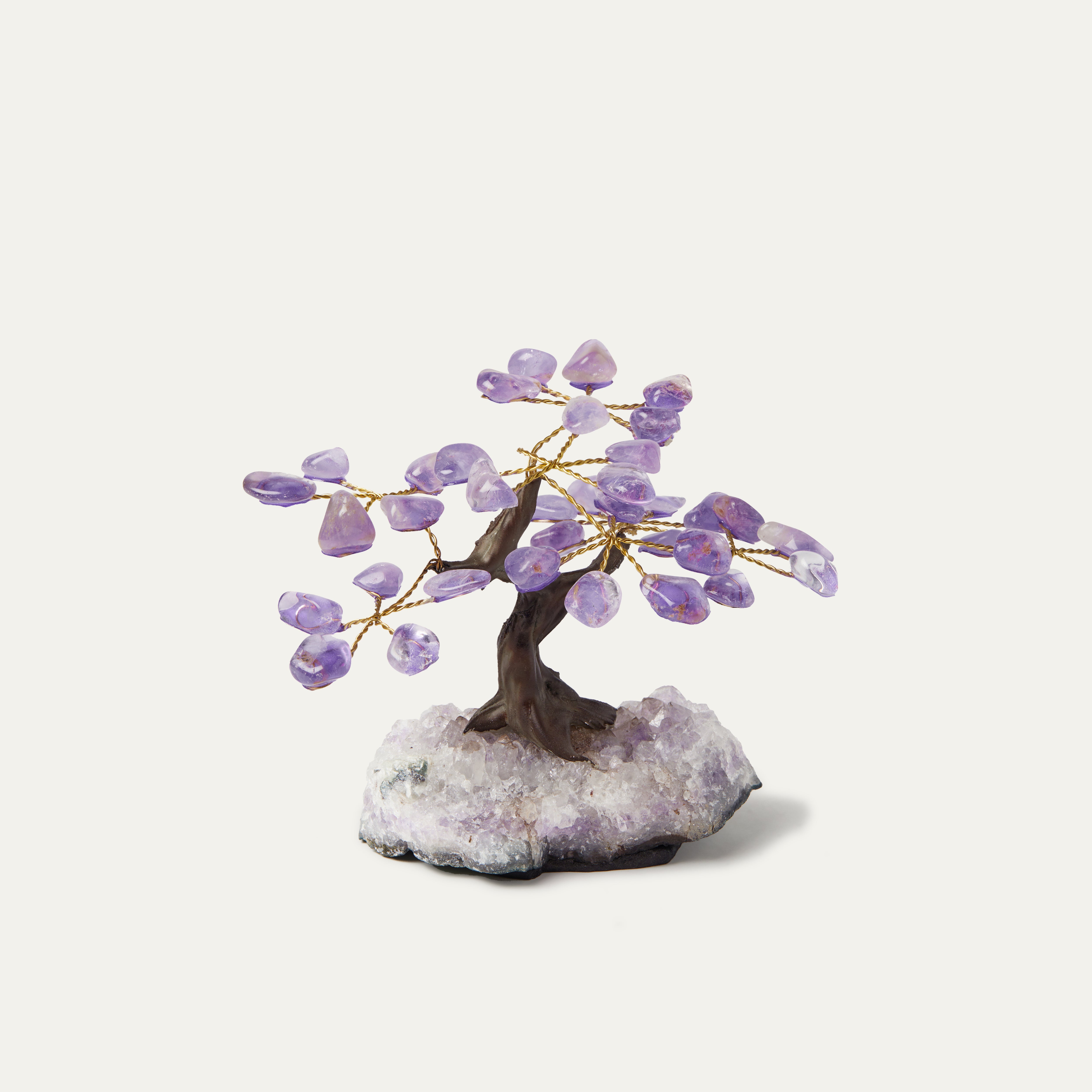 Amethyst Bonsai Tree